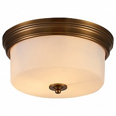 Накладной светильник arte lamp alon...